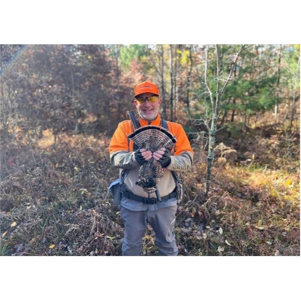 5-hour guided Michigan Grouse & Woodcock hunt for 2 hunters