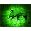 Image 2 : TX Night Vision & Thermal Hog Hunt for 2