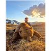 Image 1 : 10-Day Interior Grizzly Bear Hunt; and includes opportunity for 2 Black Bear and Wolfs