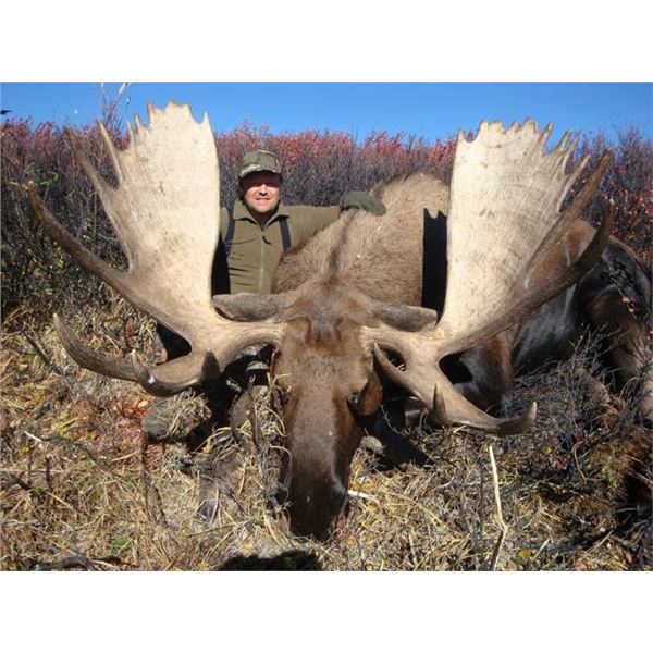 9-Day Yukon Moose Hunt;  Fully guided 1 on 1.  Black Bear and Wolf included.