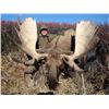 Image 1 : 9-Day Yukon Moose Hunt;  Fully guided 1 on 1.  Black Bear and Wolf included.