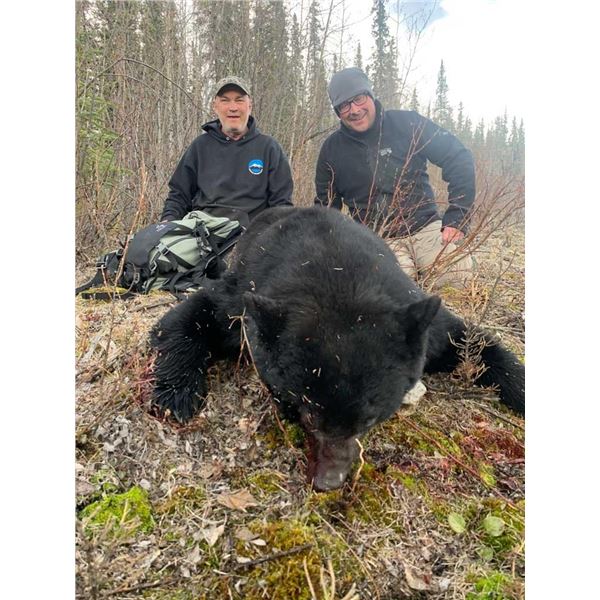 6-Day Yukon Black Bear Hunt for 1 Hunter in 2026, 2027 or 2028!!