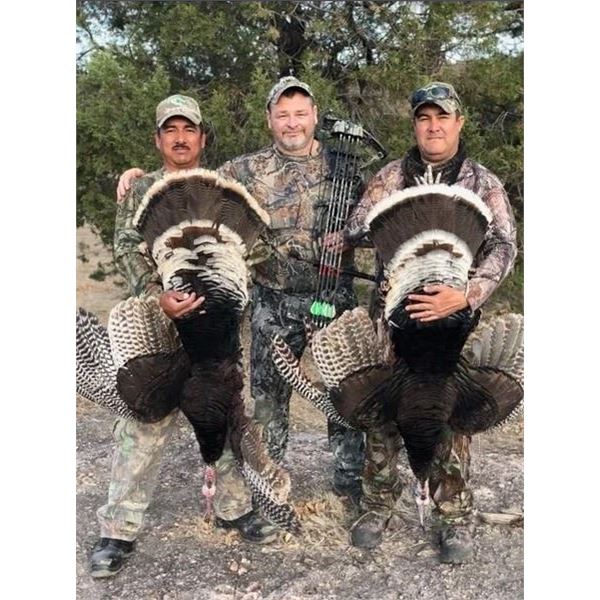 Sonora Mexico Goulds Turkey for 2 Hunters (2x1) - 3 Days/4 Nights