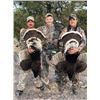 Image 1 : Sonora Mexico Goulds Turkey for 2 Hunters (2x1) - 3 Days/4 Nights