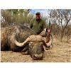 Image 1 : 8-day African Safari - 1 x Cape Buffalo up to 42" & 1 x Blue Wildebeest SHARED between 2 Hunters.