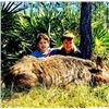 Image 3 : 3-Day/4-Night Wild Pig hunt for 2 Hunters - Two Pigs Included