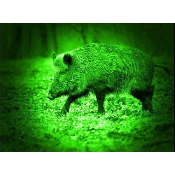 2-day and 2 night Texas Night Vision