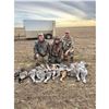 Image 1 : 2-Day Sandhill Crane and Waterfowl Hunt for up to 4 hunters