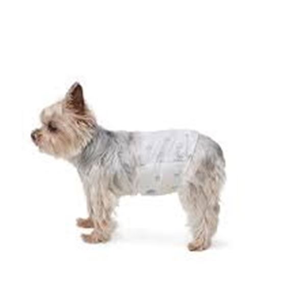 NEW AMAZON BASICS 30 MALE WRAP X-SMALL