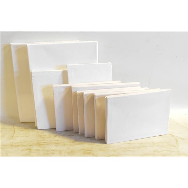 LOT OF BLANK CANVAS