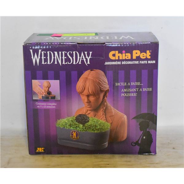 NEW "WEDNESDAY" CHIA PET