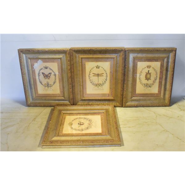 LOT OF 4 INSECT PICTURE FRAMES