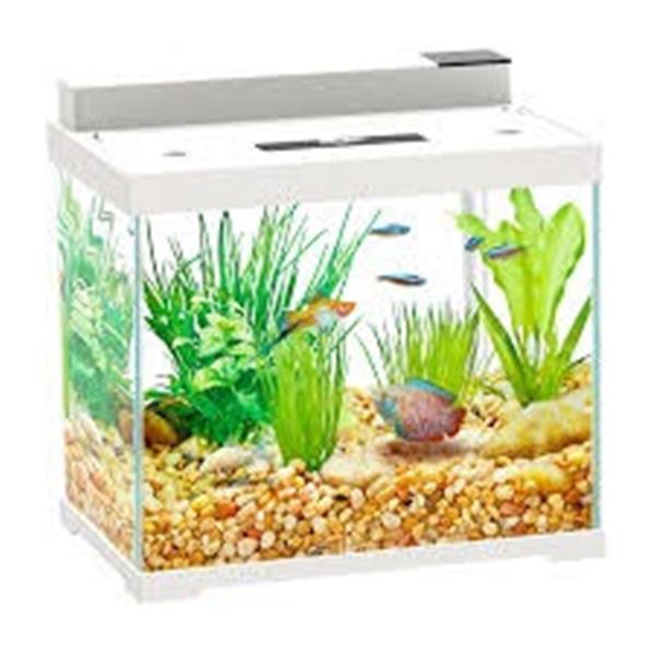 NEW W BOX AQQA INTELLIGENT DESKTOP ECO FISH TANK