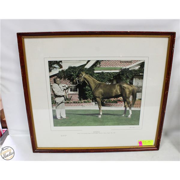 FRAMED PICTURE - 1959 CANADIAN DERBY WINNER HORSE