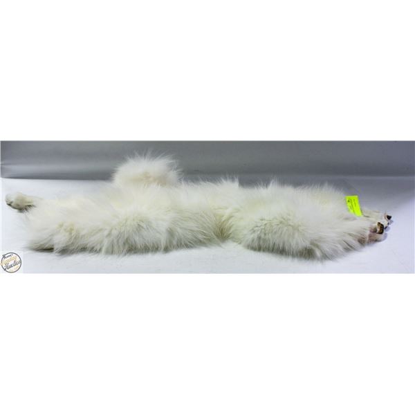 WHITE MINK TAXIDERMY-ESTATE