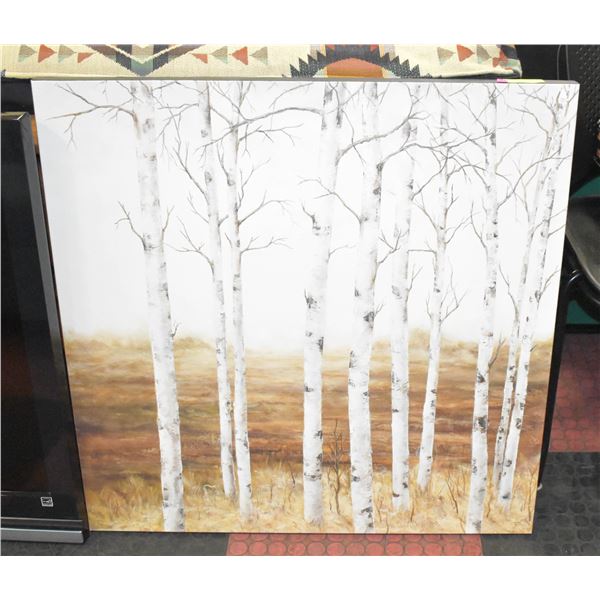 CANVAS PRINT "BIRCH TREES"- 34" X 34"