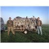 Image 3 : Sandhill Cranes & Lesser Canadas in Texas for Two Hunters
