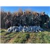 Image 4 : Sandhill Cranes & Lesser Canadas in Texas for Two Hunters