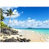 Image 6 : Escape to Hawaii for 5 Nights!