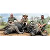 Image 10 : 7 Day Trophy Cape Buffalo Hunt