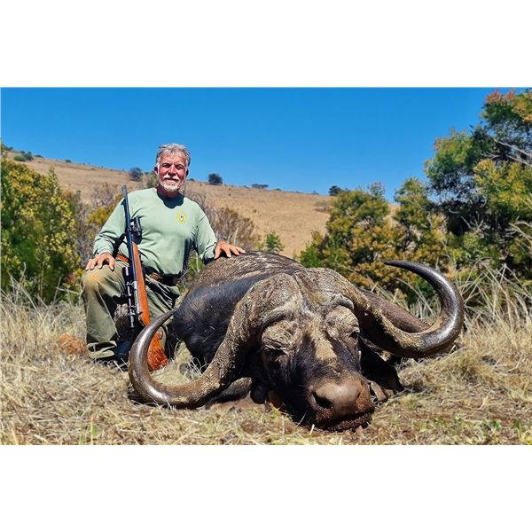 7 Day Trophy Cape Buffalo Hunt