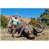 Image 1 : 7 Day Trophy Cape Buffalo Hunt