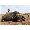 Image 2 : 7 Day Trophy Cape Buffalo Hunt