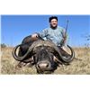 Image 3 : 7 Day Trophy Cape Buffalo Hunt