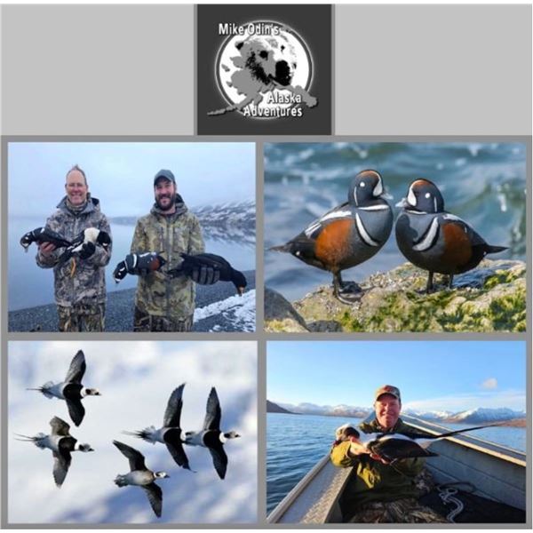 5-Day/6-Night Kodiak Trophy Sea Duck, Sitka Black-tailed Deer, and Fox Combo Hunt for Two Hunters