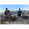Image 2 : 5-Day/6-Night Kodiak Trophy Sea Duck, Sitka Black-tailed Deer, and Fox Combo Hunt for Two Hunters