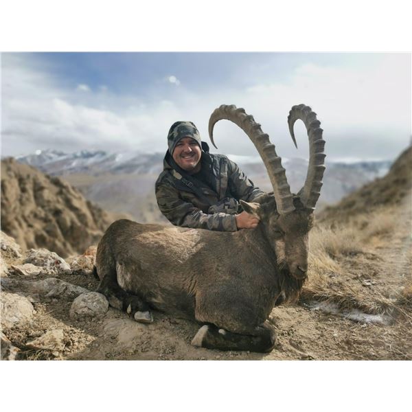 7 Day Mid-Asian Ibex Hunt in Kyrgyzstan
