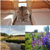Image 2 : One week stay in a modern mountain cabin in the beautiful Bighorn Mountains of Wyoming