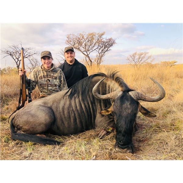 10 Day Blue Wildebeest and Impala for Two hunters - Bosveld Jacobs Safaris
