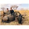 Image 1 : 10 Day Blue Wildebeest and Impala for Two hunters - Bosveld Jacobs Safaris