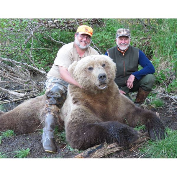 9-Day Alaska Brown/Grizzly Bear, Black Bear, and Wolf Combo Hunt for One Hunter