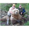 Image 1 : 9-Day Alaska Brown/Grizzly Bear, Black Bear, and Wolf Combo Hunt for One Hunter
