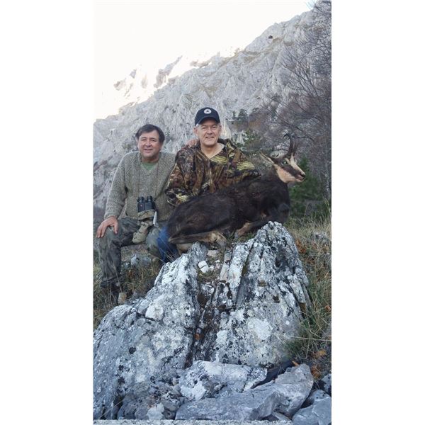 Chamois Choice of Romania or Slovenia or North Macedonia