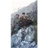 Image 1 : Chamois Choice of Romania or Slovenia or North Macedonia