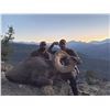 Image 1 : WYOMING ROCKY MOUNTAIN BIGHORN SHEEP LICENSE