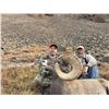 Image 4 : WYOMING ROCKY MOUNTAIN BIGHORN SHEEP LICENSE