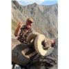 Image 6 : WYOMING ROCKY MOUNTAIN BIGHORN SHEEP LICENSE