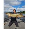 Image 2 : World-Class Musky Fishing on the Legendary “Big Chip” w/beautiful Cabin/Home for u