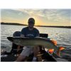 Image 5 : World-Class Musky Fishing on the Legendary “Big Chip” w/beautiful Cabin/Home for u