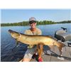 Image 7 : World-Class Musky Fishing on the Legendary “Big Chip” w/beautiful Cabin/Home for u