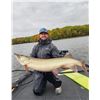 Image 8 : World-Class Musky Fishing on the Legendary “Big Chip” w/beautiful Cabin/Home for u