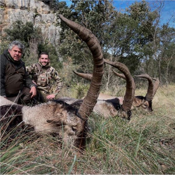 Spain Combination Hunt - 4 Days/3 Nights - La Espadella Hunting Adventures