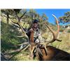 Image 3 : Spain Combination Hunt - 4 Days/3 Nights - La Espadella Hunting Adventures
