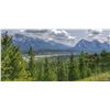 Image 3 : 7 Night Canadian Rockies Vacation for 4 People – Coliseum Mountain Resort -Nordegg, Alberta