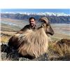 Image 2 : New Zealand Tahr Hunt - Southern Mountain Adventures