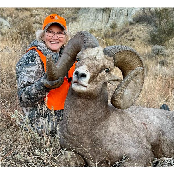 2026 NORTH DAKOTA ROCKY MOUNTAIN BIGHORN SHEEP LICENSE – ND G&FD